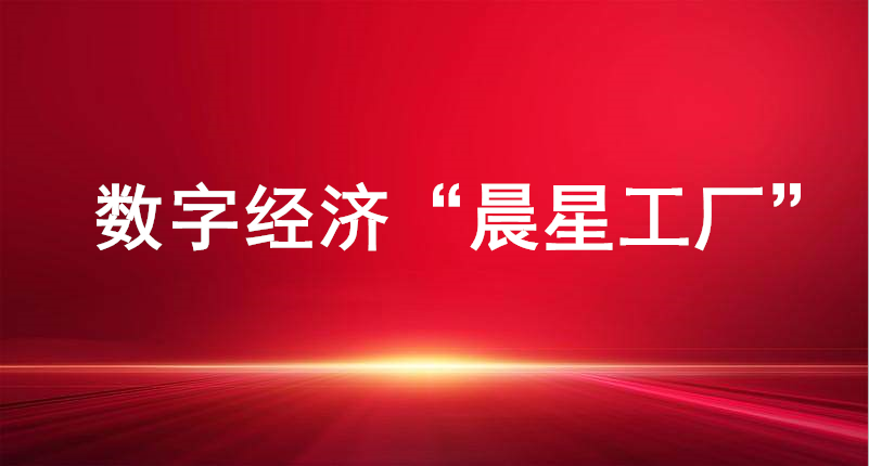 裕航合金、長(zhǎng)壽花食品入選山東省首批數(shù)字經(jīng)濟(jì)“晨星工廠”